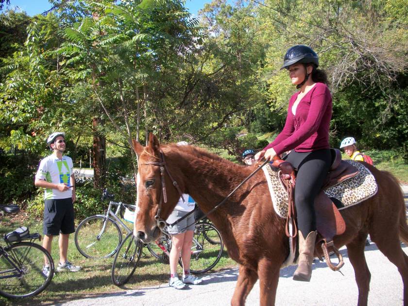 Horse and rider passing cyclists on the BWI Trail