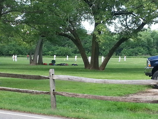 cricket in johnson park
