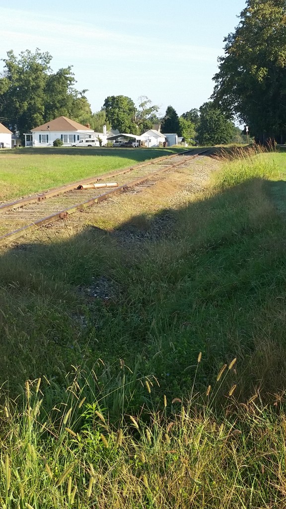 oct 8 2015 phone 011