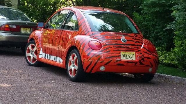 princeton car