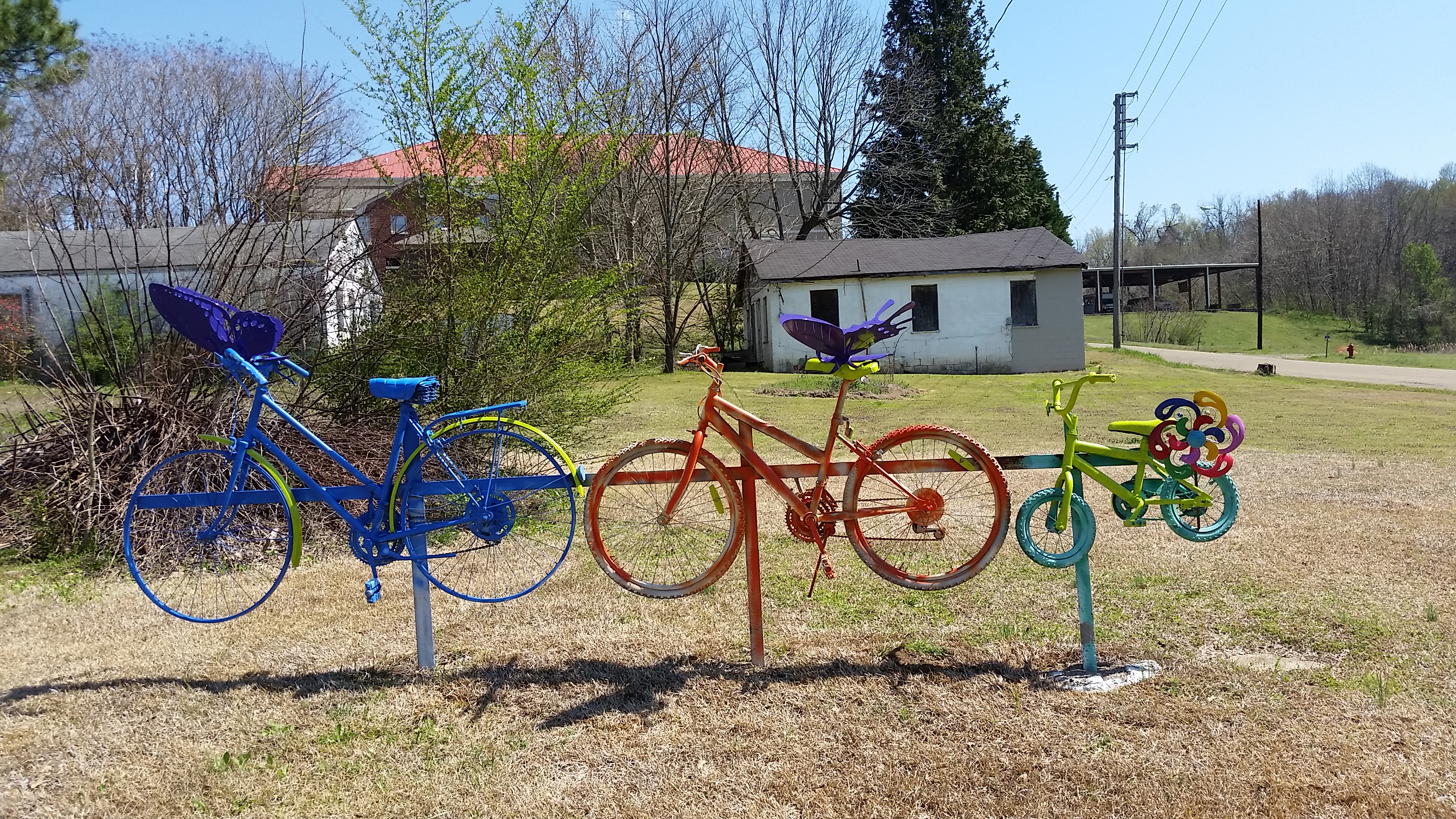 bikes and butterflies