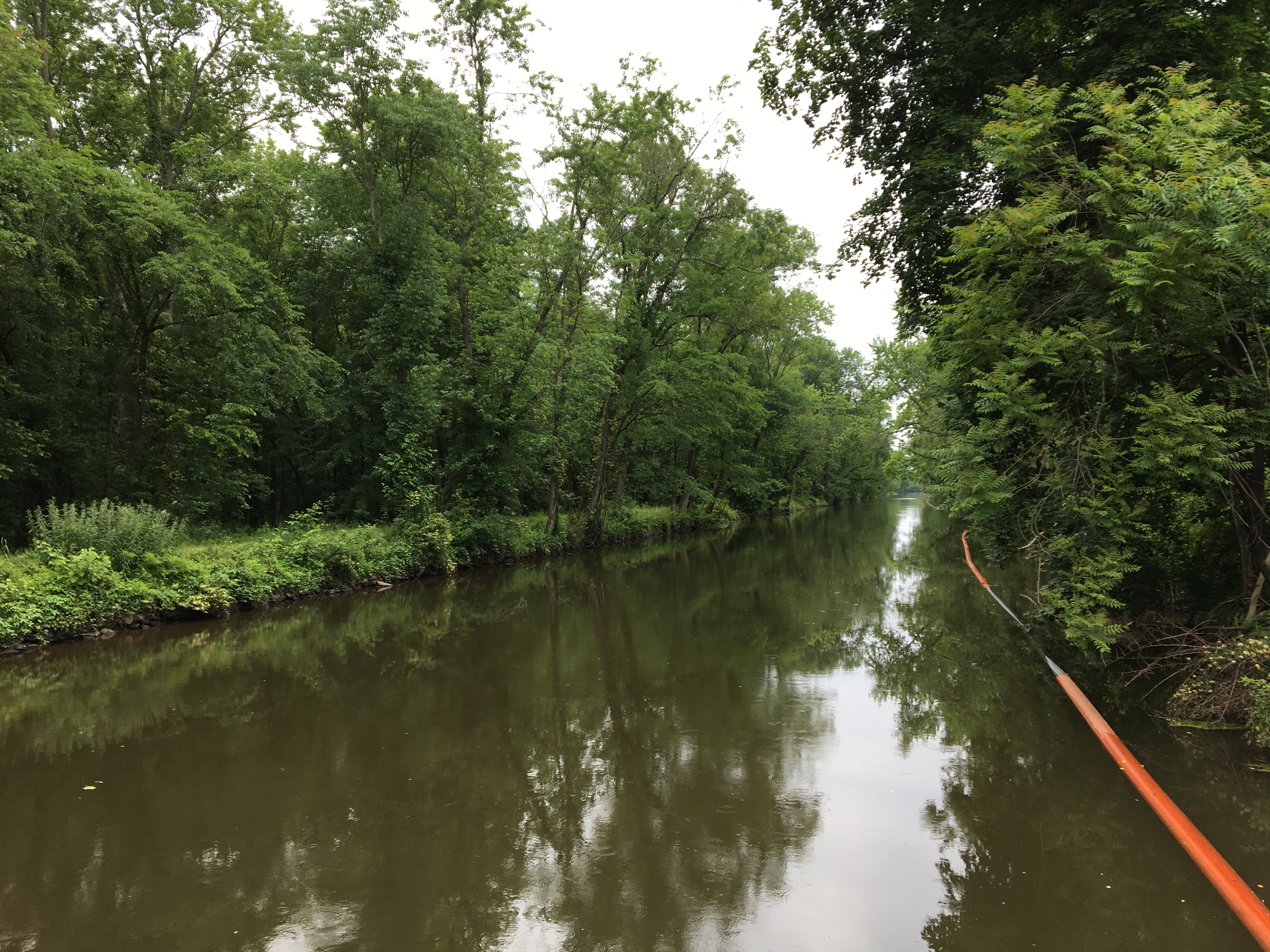 3C0C266E-30D6-4F17-81AD-AED4BBC775CB