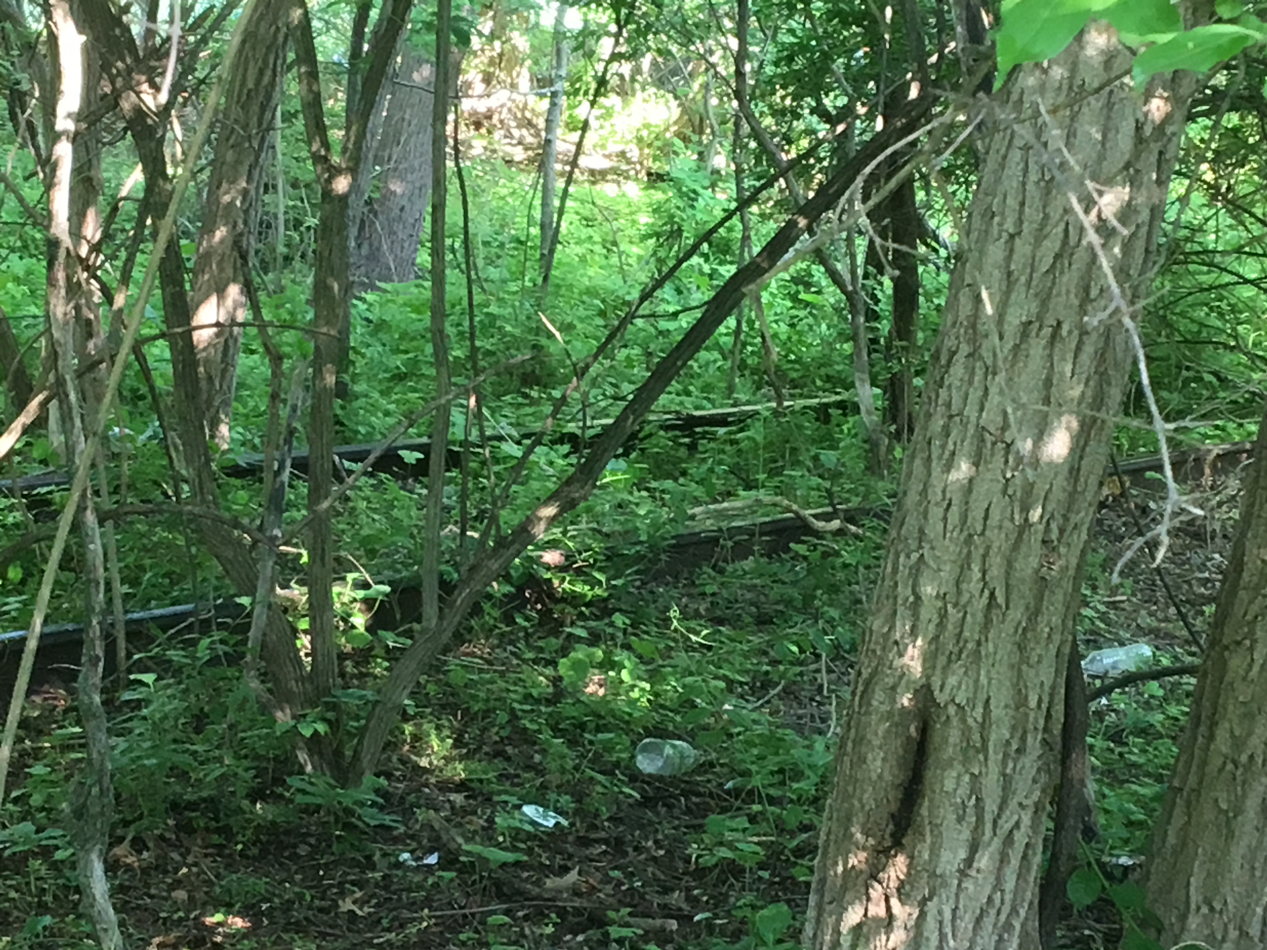 D10DB3DD-BEE1-4BA2-AEF8-AA095947C327