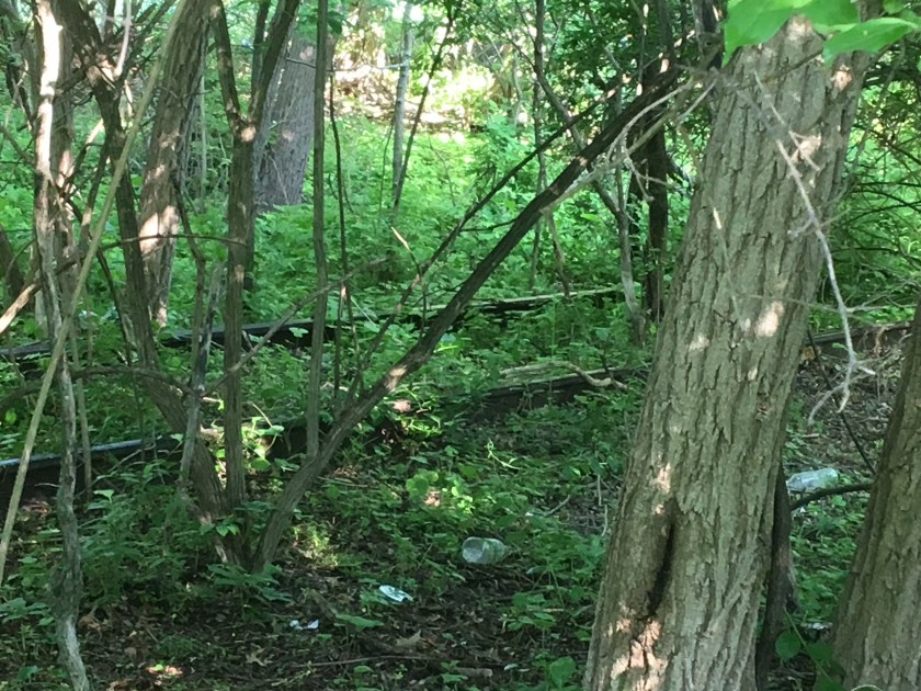 D10DB3DD-BEE1-4BA2-AEF8-AA095947C327