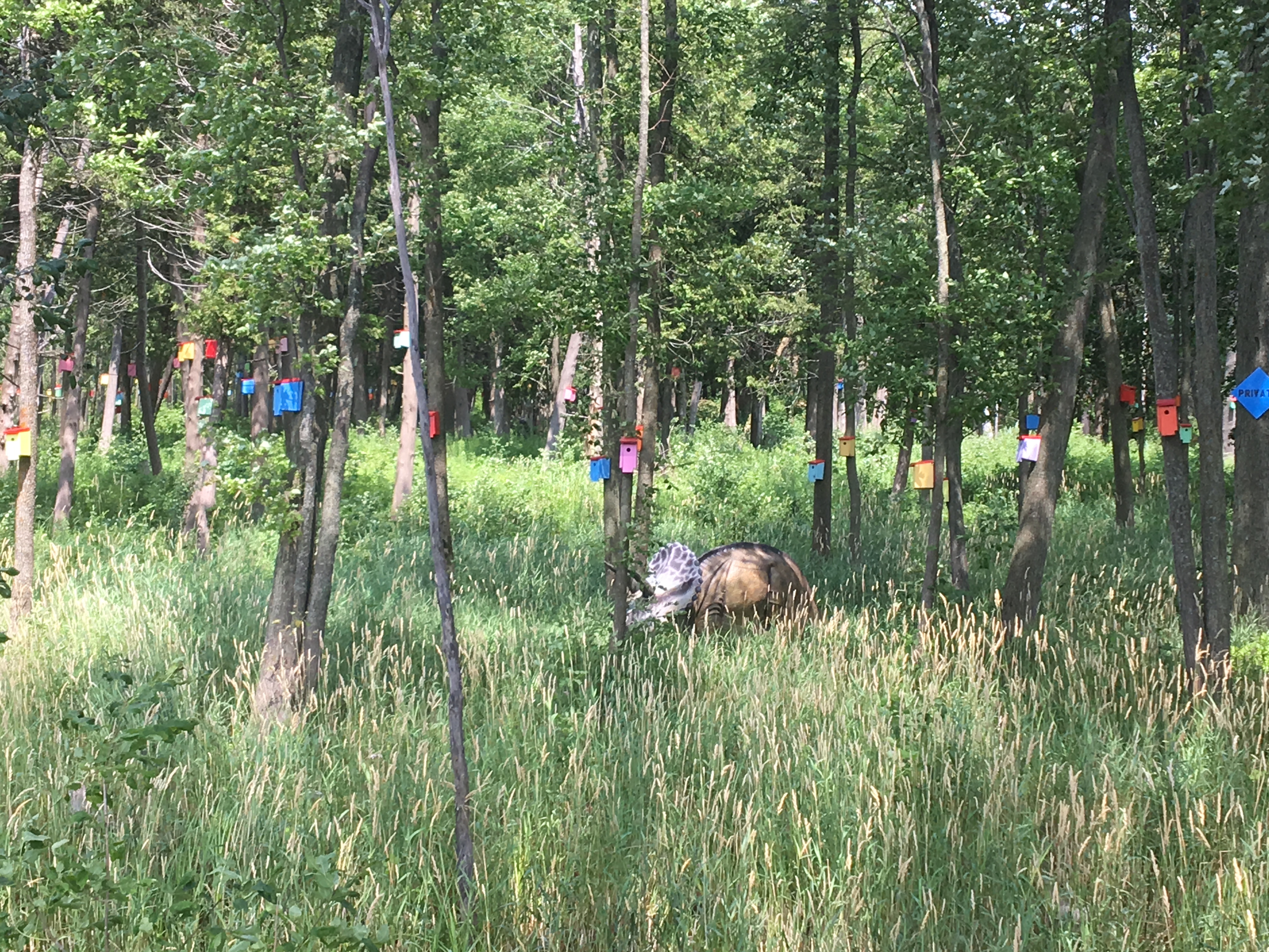 75254A01-9813-4C8E-8BC4-CCD3566AC0EE