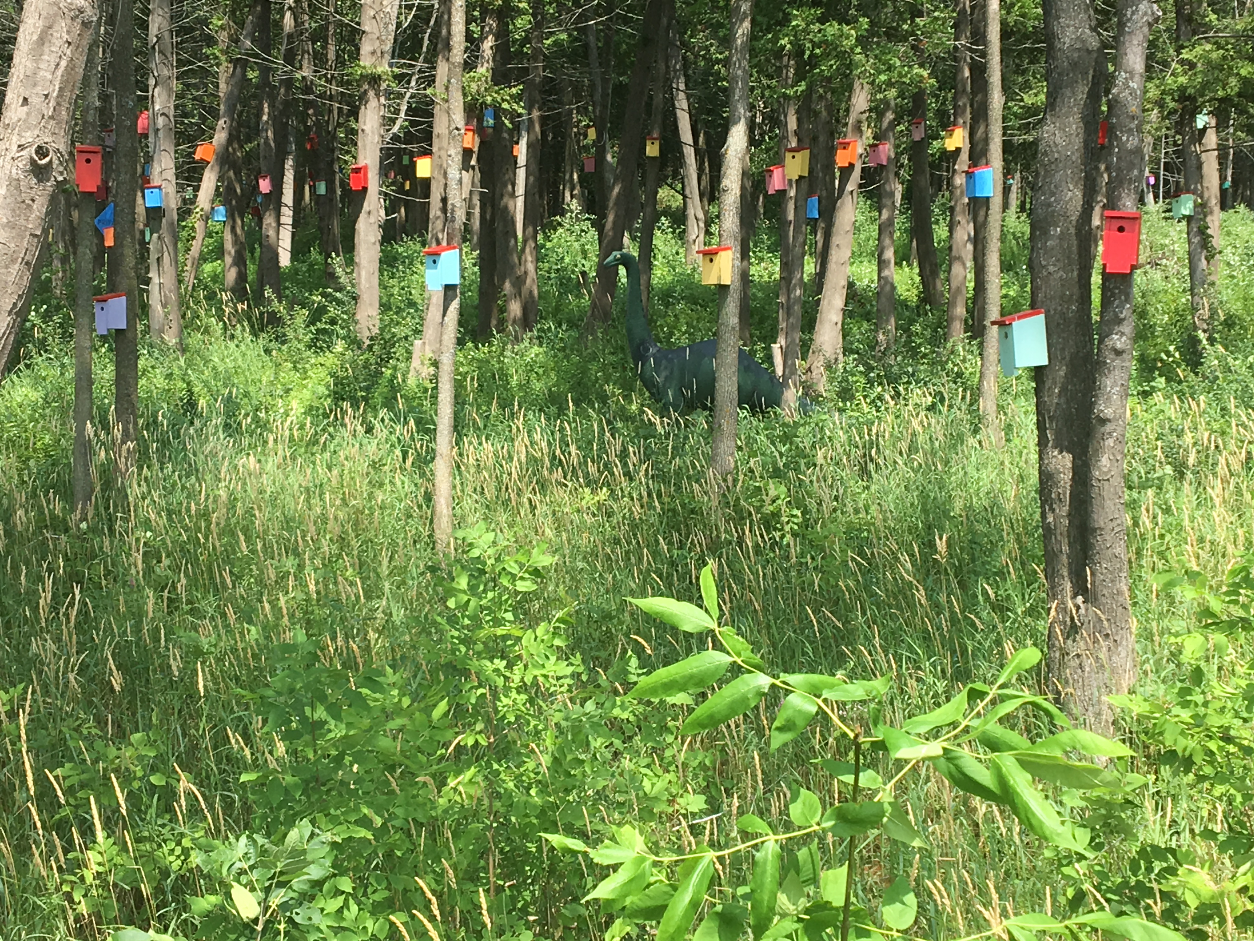 EA1C778D-7D0B-45F3-8683-9D3B165F1690