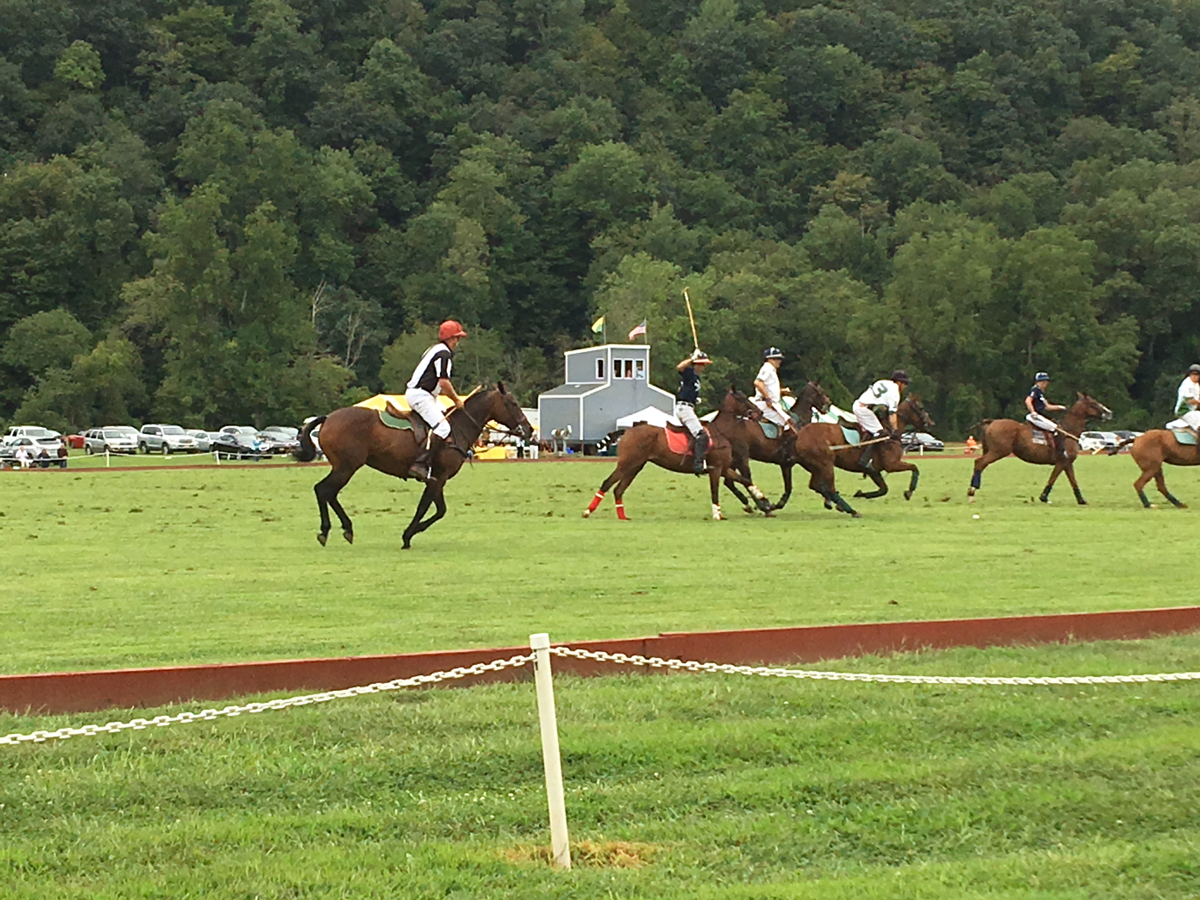 82917C99-06BD-4D6D-9082-0985D5590D70