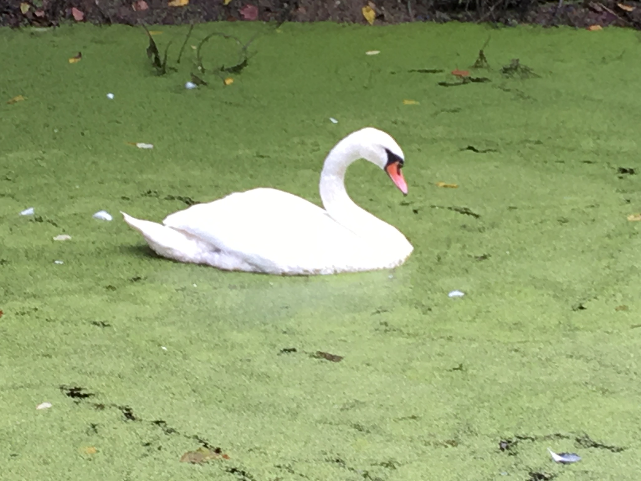 D417E71E-7719-4956-9002-323B225048BB