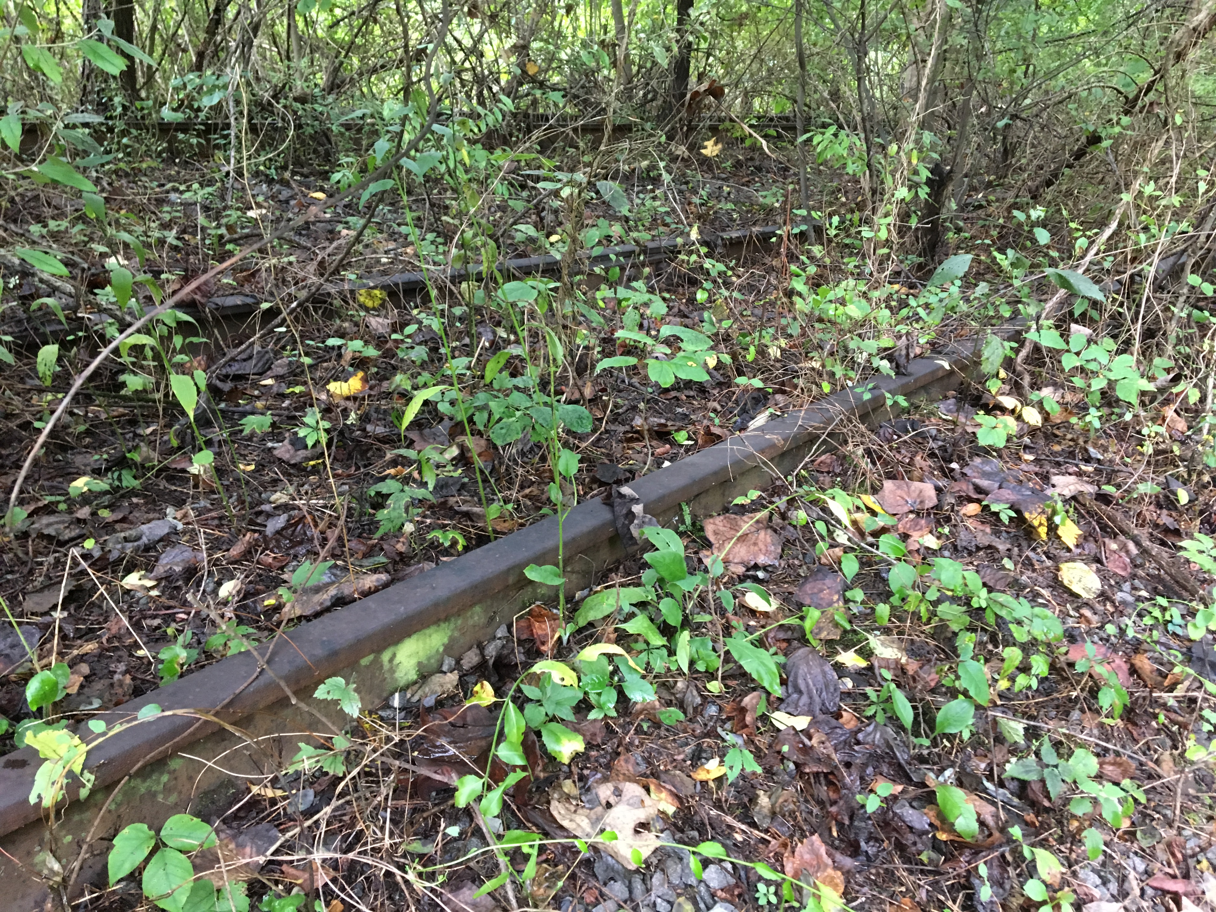 D5F21F4F-BC3D-40CD-84FD-0AF2EAB0D365