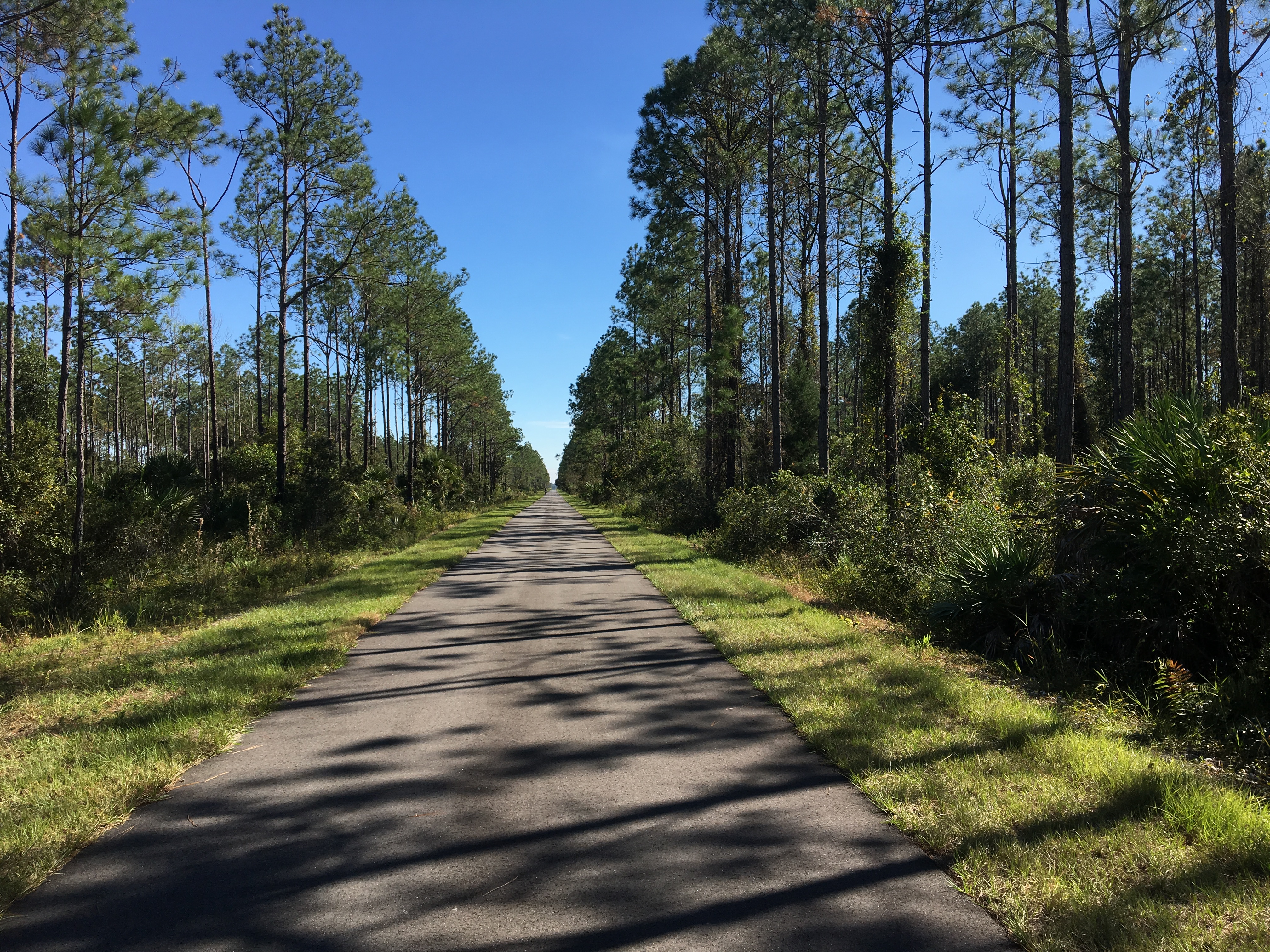 AECD5309-A52D-4DEB-901E-C1FE0B2E5433